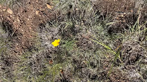 Q Path, Cotopaxi, CO 81223 photo 6