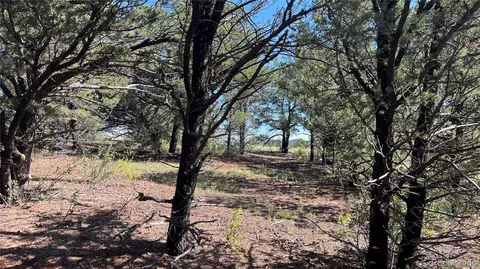 Q Path, Cotopaxi, CO 81223 photo 8