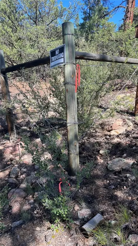 Q Path, Cotopaxi, CO 81223 photo 12