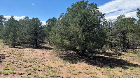 Q Path, Cotopaxi, CO 81223 photo 4