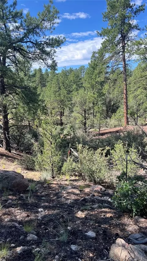 Q Path, Cotopaxi, CO 81223 photo 7