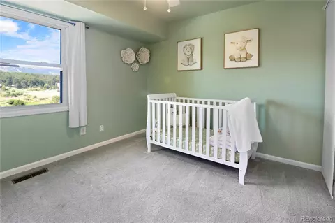 361 Raspberry Ln, Monument, CO 80132 photo 21