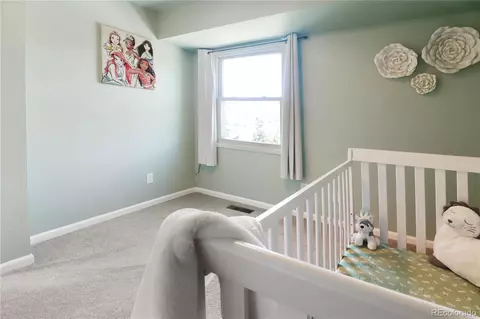 361 Raspberry Ln, Monument, CO 80132 photo 20