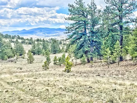861 Hiawatha Cir, Hartsel, CO 80449