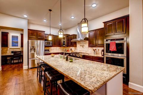 10485 Ladera Dr, Lone Tree, CO 80124 photo 11