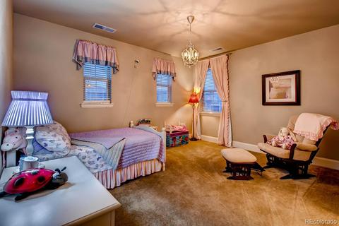 10485 Ladera Dr, Lone Tree, CO 80124 photo 20