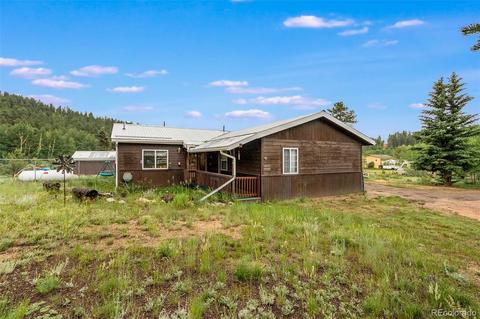 46 Gray St, Bailey, CO 80421 photo 1