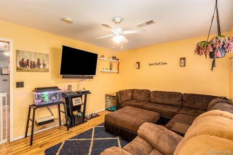 46 Gray St, Bailey, CO 80421 photo 8