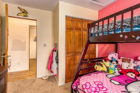 46 Gray St, Bailey, CO 80421 photo 11