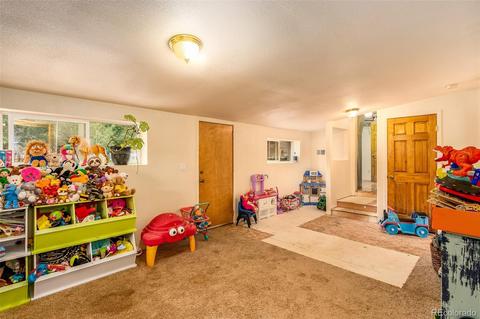 46 Gray St, Bailey, CO 80421 photo 20