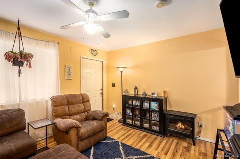 46 Gray St, Bailey, CO 80421 photo 9