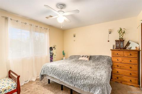 46 Gray St, Bailey, CO 80421 photo 13