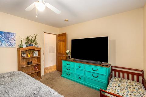 46 Gray St, Bailey, CO 80421 photo 15