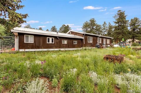 46 Gray St, Bailey, CO 80421 photo 24
