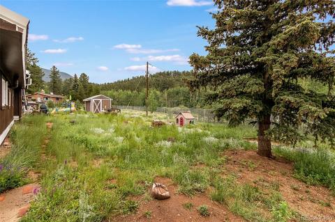 46 Gray St, Bailey, CO 80421 photo 25