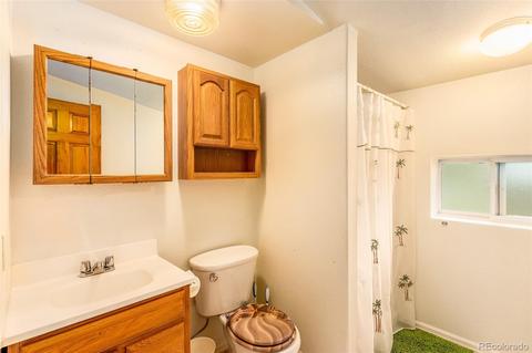 46 Gray St, Bailey, CO 80421 photo 17