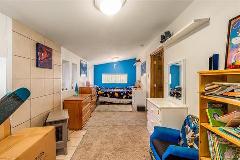 46 Gray St, Bailey, CO 80421 photo 22