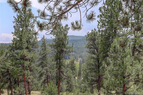 105 Vista Ln, Pine, CO 80470 photo 32