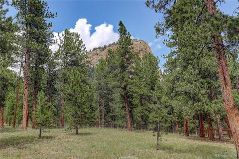 105 Vista Ln, Pine, CO 80470 photo 33