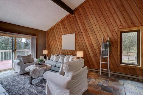105 Vista Ln, Pine, CO 80470 photo 7