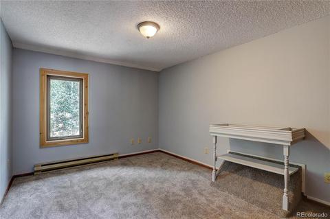 105 Vista Ln, Pine, CO 80470 photo 25