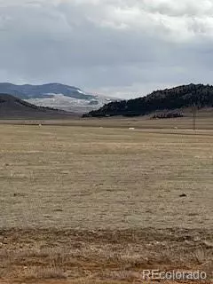 5251 Summit Rd, Hartsel, CO 80449 photo 4
