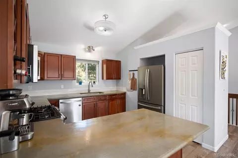 560 Gunsmoke Dr, Bailey, CO 80421 photo 10