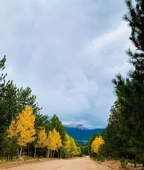 Other - 461 Hitchrack Rd, Bailey, CO 80421 photo 16 of 16