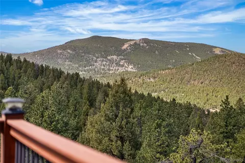 Other - 461 Hitchrack Rd, Bailey, CO 80421 photo 8 of 14