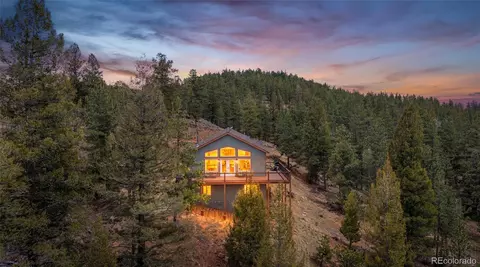Exterior - 461 Hitchrack Rd, Bailey, CO 80421 photo 10 of 10