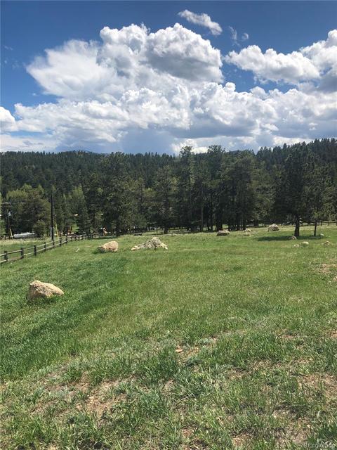 218 Conifer Dr, Bailey, CO 80421 photo 7