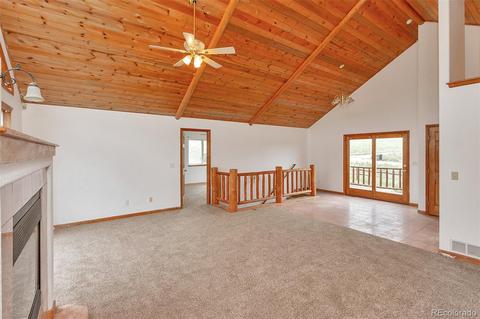 218 Conifer Dr, Bailey, CO 80421 photo 17