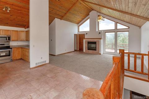 218 Conifer Dr, Bailey, CO 80421 photo 14