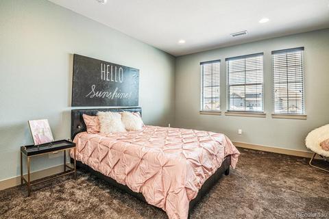 9499 Gore Loop, Arvada, CO 80007 photo 21