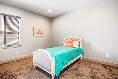 9499 Gore Loop, Arvada, CO 80007 photo 25