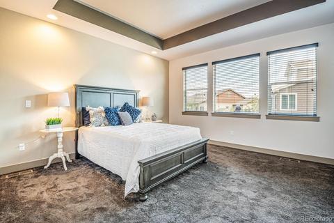 9499 Gore Loop, Arvada, CO 80007 photo 14