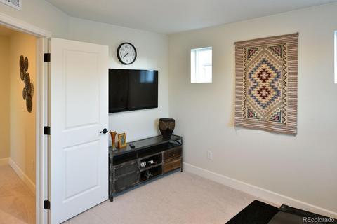26339 E Maple Dr, Aurora, CO 80018 photo 24