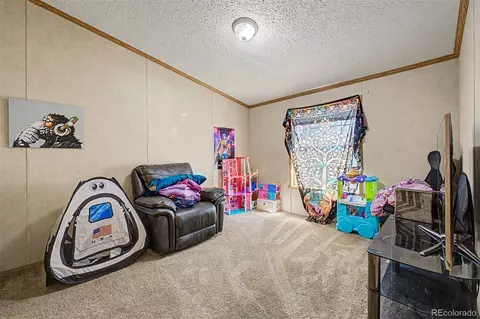 4211 E 100th Ave, Thornton, CO 80229 photo 18