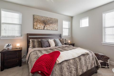 8842 E 47th Ave, Denver, CO 80238 photo 22