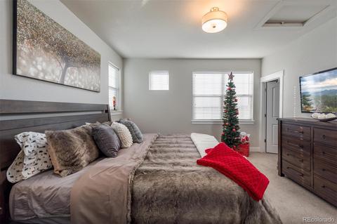 8842 E 47th Ave, Denver, CO 80238 photo 21