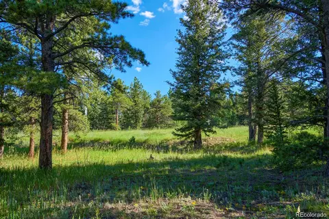 103 Juniper Rd, Black Hawk, CO 80422