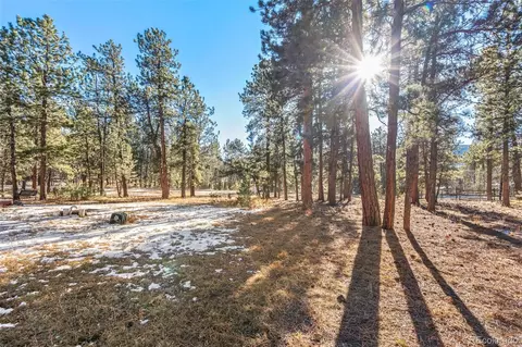 349 Gunsmoke Dr, Bailey, CO 80421 photo 42