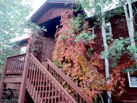 349 Gunsmoke Dr, Bailey, CO 80421 photo 49