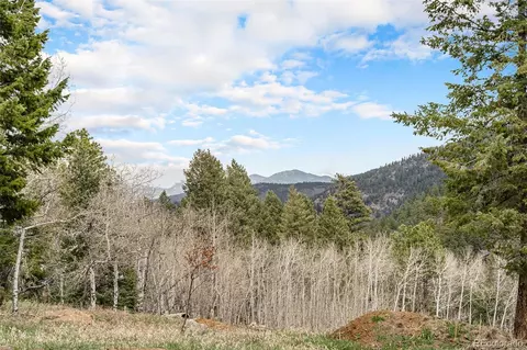 43 W Ranch Trl, Morrison, CO 80465 photo 18