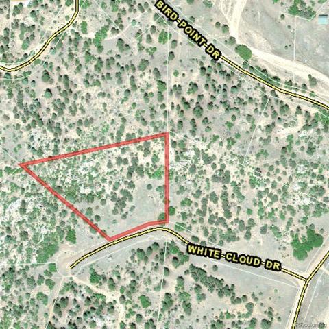 133 White Cloud Dr, Cotopaxi, CO 81223 photo 1
