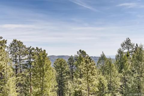 8596 S Davco Dr, Morrison, CO 80465 photo 28