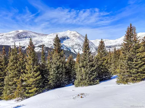 58969 Highway 9, Alma, CO 80420