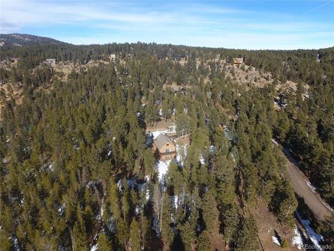 23891 Black Bear Trl, Conifer, CO 80433 photo 33