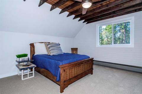 23891 Black Bear Trl, Conifer, CO 80433 photo 16