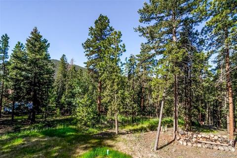 23891 Black Bear Trl, Conifer, CO 80433 photo 28